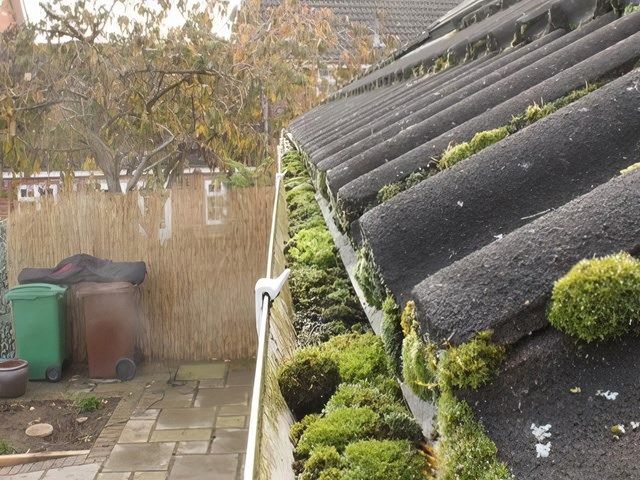 sunrise-exterior-cleaning (40)-kireth-ai
